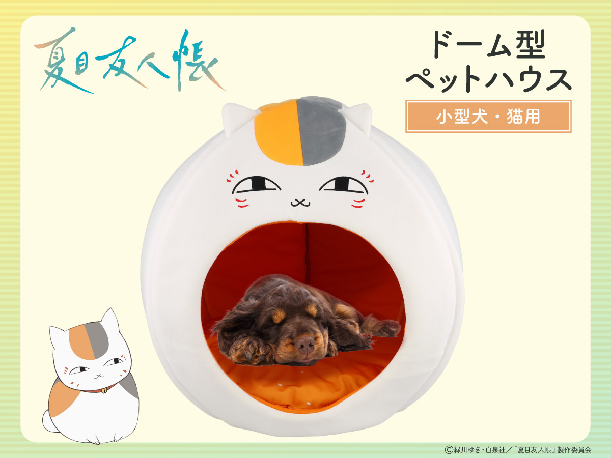＜更新情報＞
